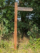 25th Aug 2024 - WORCESTERSHIRE WAY.