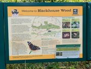 2nd Sep 2024 - WOODLAND WALKS.