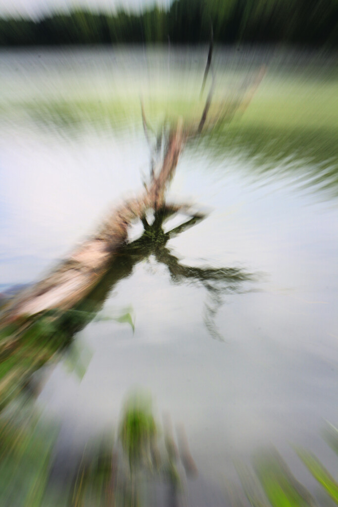 ICM Journey 3 - The Loch by juliedduncan