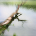 ICM Journey 3 - The Loch by juliedduncan