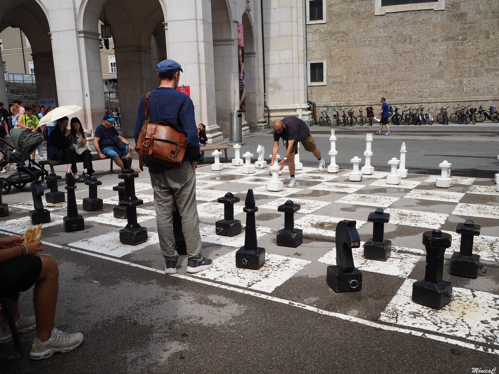 Playing chess by monicac