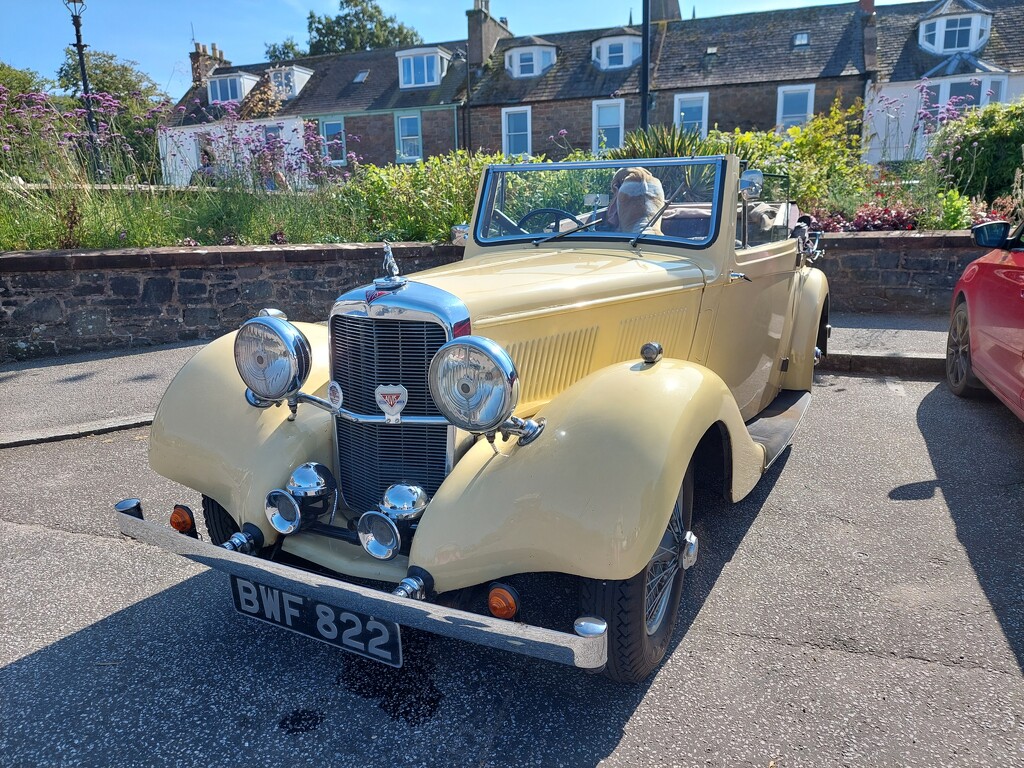 A rather lovely Alvis by samcat