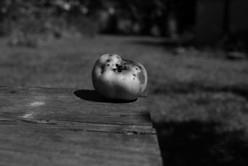 Wabi Sabi Apple sooc by darchibald