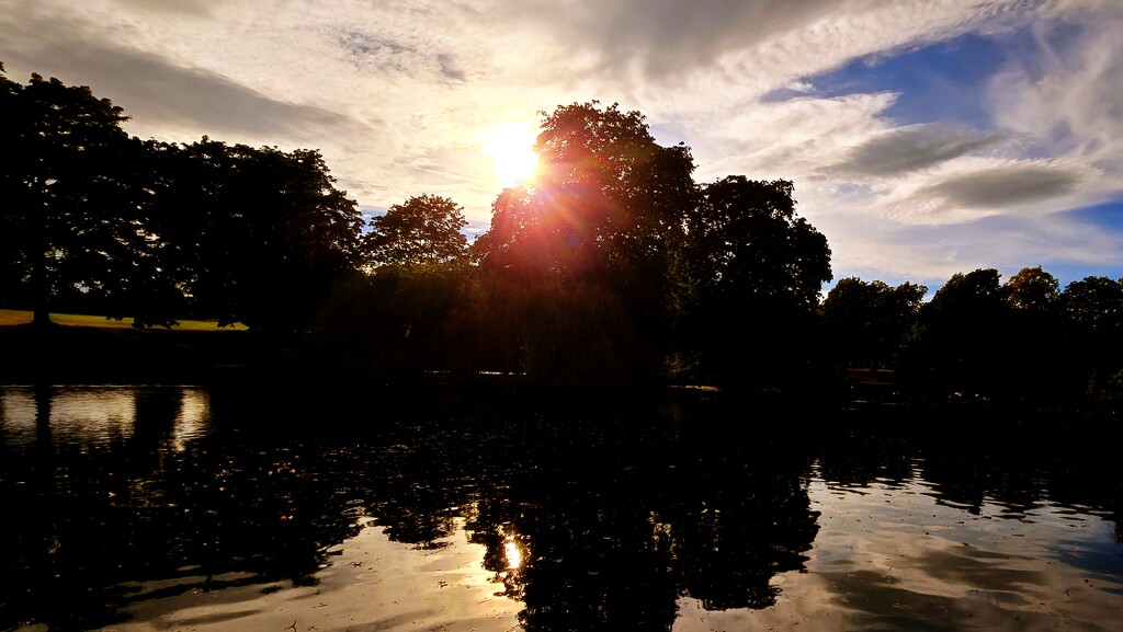 246/366 - Hillsborough Park by isaacsnek