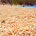 Virgin Gorda’s shell beach by louannwarren