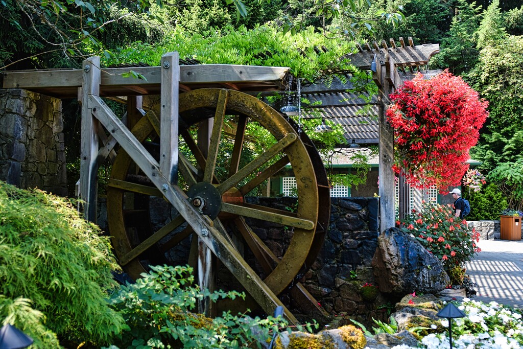 8 20 Waterwheel in Piazza by sandlily