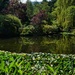 Pond in the Sunken Garden