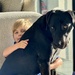 A boy and his dog by jools