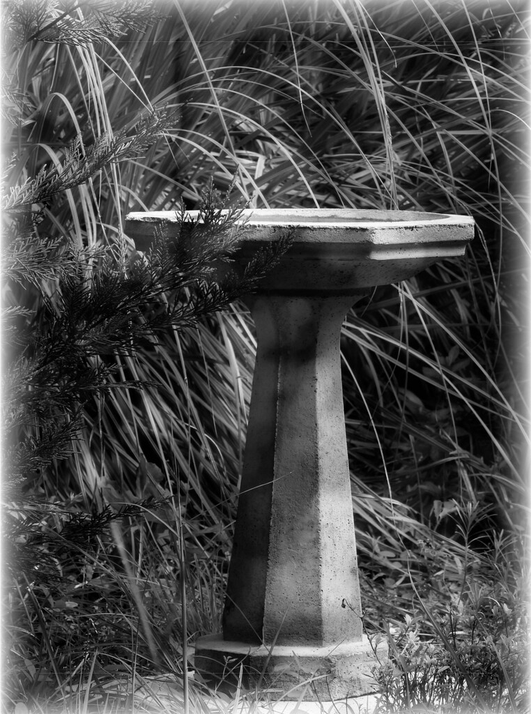 A one-piece birdbath... by marlboromaam