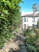 3rd Sep 2024 - Garden path......