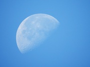 25th Aug 2024 - Morning Moon