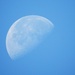 Morning Moon