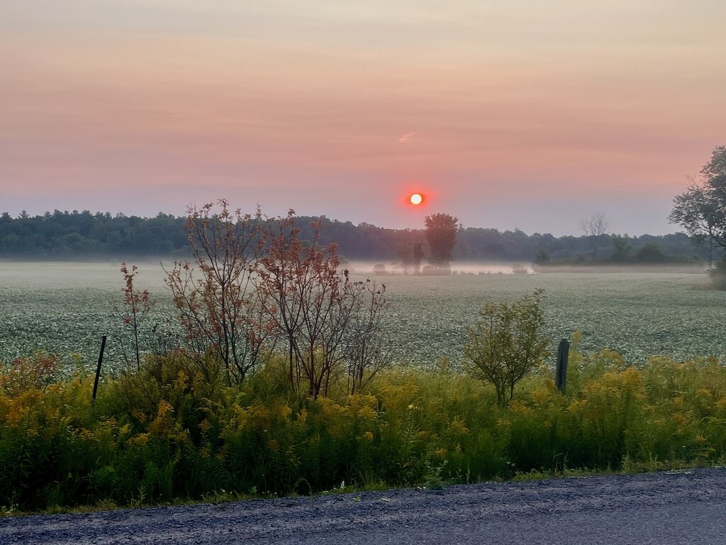 Red Sunrise by sunnygreenwood