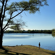 2nd Sep 2024 - A Walk Around The Lake