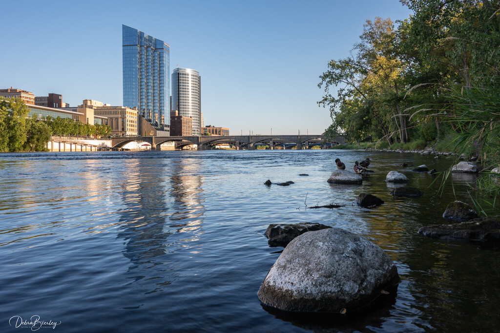 Downtown Grand Rapids along the Grand River  by dridsdale