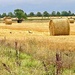 Hay Rolls by carole_sandford