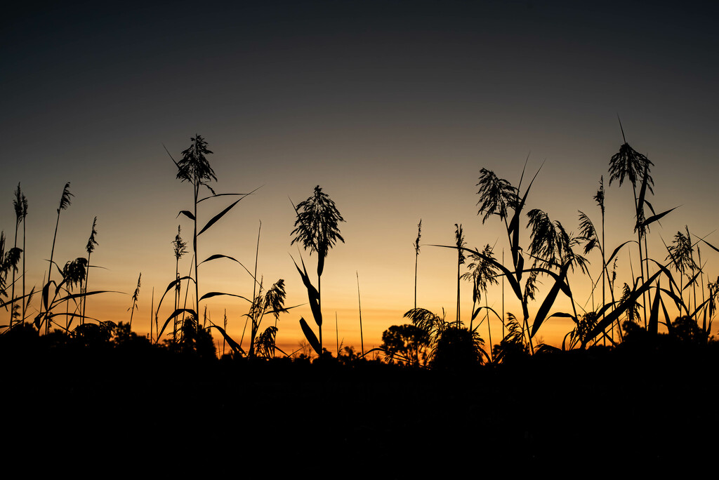 Dawn of a New School Year by darchibald