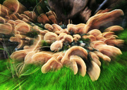 3rd Sep 2024 - ICM Journey 9 - Windfall