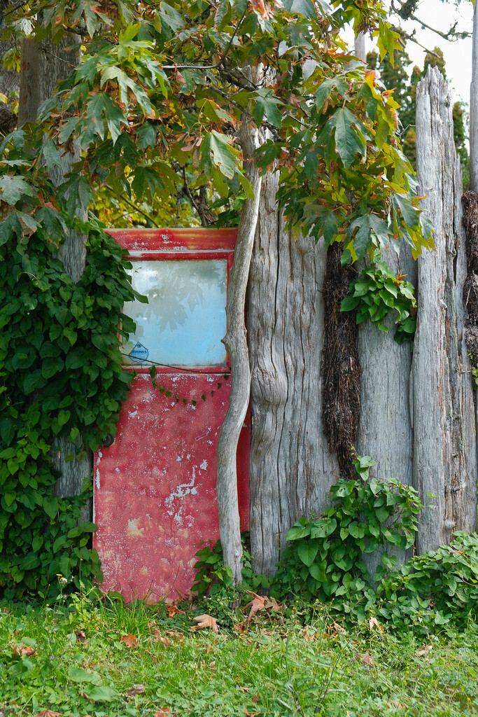 Red Door by cdcook48