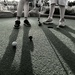 Mini Golf by blackmutts