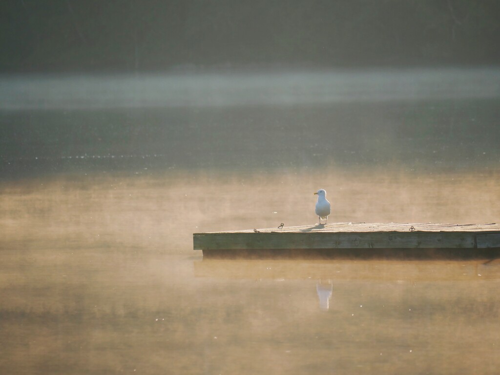 Sittin’ on the dock of the bay by ljmanning