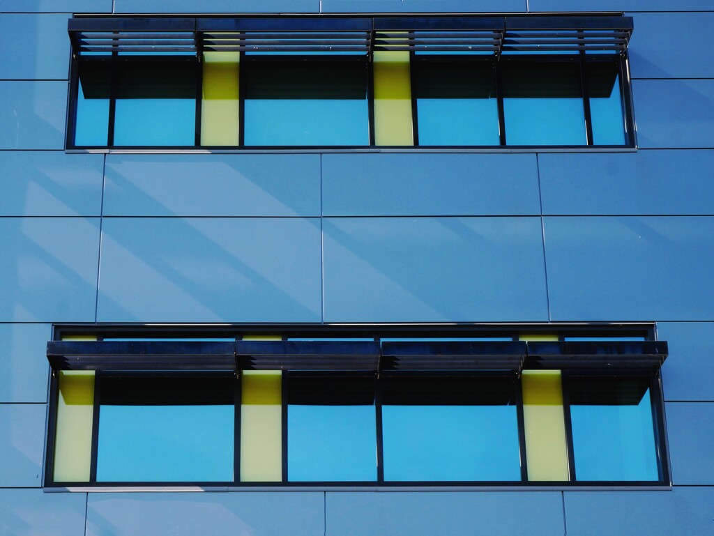 Lemon drop windows by ljmanning