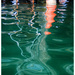 Bay Water Abstract by aikiuser