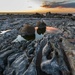 Ward Beach in the Morning