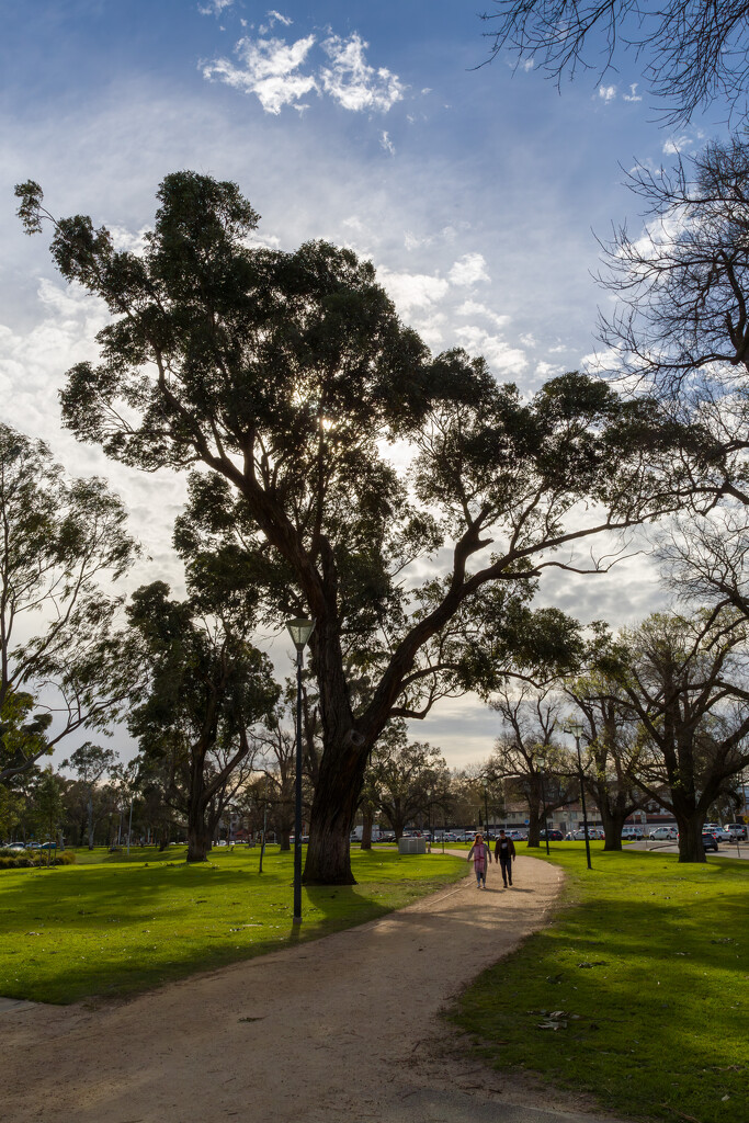 Princes Park by briaan