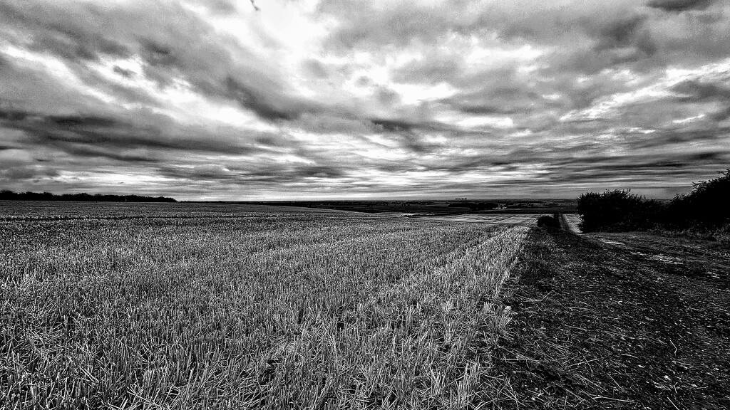 Cloud Drama by carole_sandford