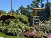 1st Sep 2024 - Metal moose in Center Harbor, NH