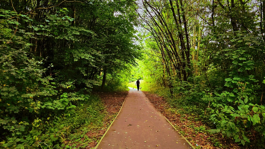 248/366 - Ponderosa Park, Sheffield, UK by isaacsnek