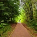 248/366 - Ponderosa Park, Sheffield, UK by isaacsnek