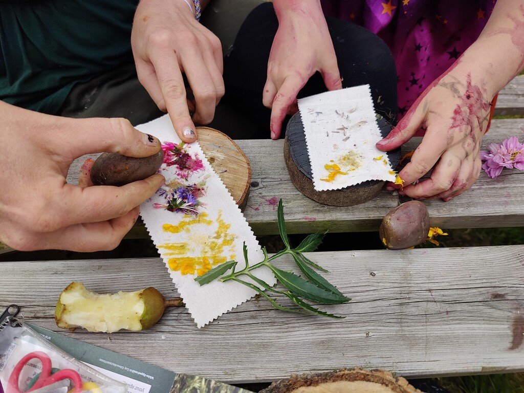 Hapa zome in a community garden by roachling