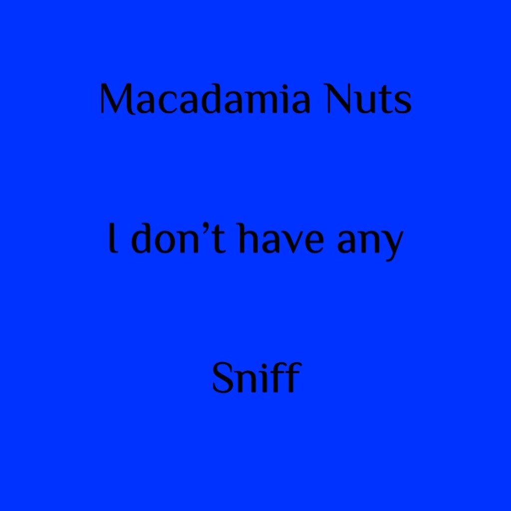 Macadamia Nut Day by spanishliz