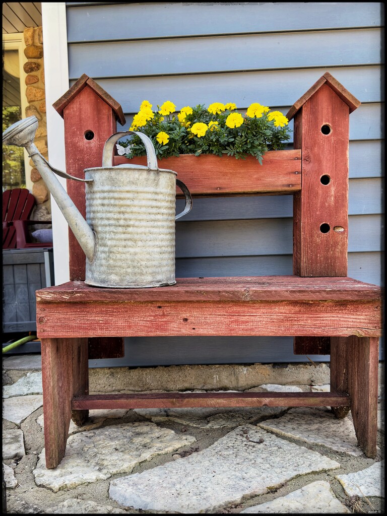 Fifth Generation of Marigolds by eahopp