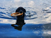 27th Aug 2024 - The Frontenac lake monster emerges