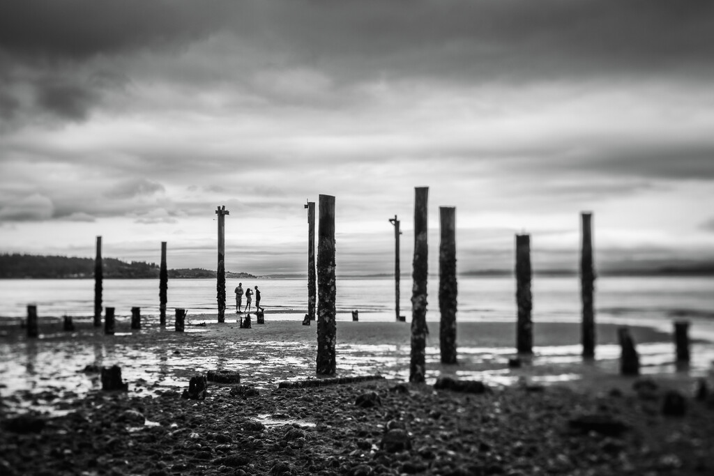 My People Among the Pilings by tina_mac