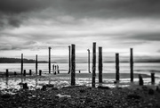 2nd Sep 2024 - My People Among the Pilings