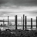 My People Among the Pilings by tina_mac