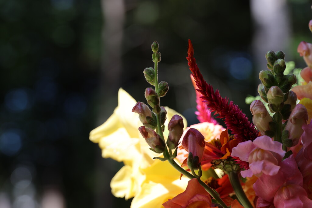 Corner bouquet by edorreandresen