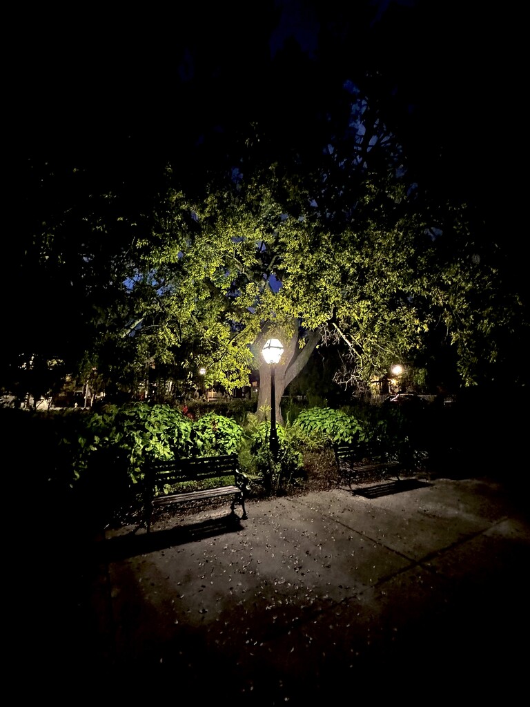 Night scene, Colonial Lake Park right after sundown by congaree