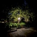 Night scene, Colonial Lake Park right after sundown by congaree