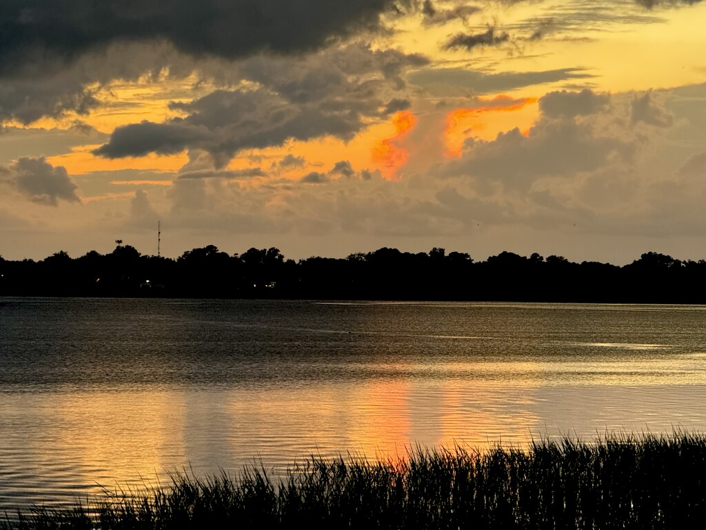 Ashley River sunset by congaree