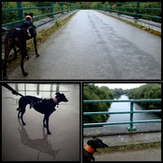 5th Sep 2024 - Over the river end of the 100k challenge. 