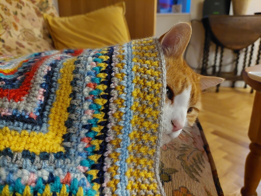 My blanket  by samcat