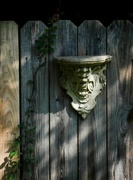 5th Sep 2024 - Old greenman...