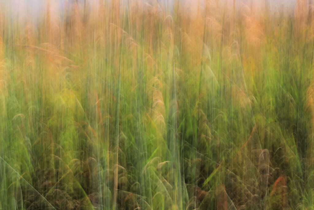 ICM Journey 12 - My Favorite by juliedduncan