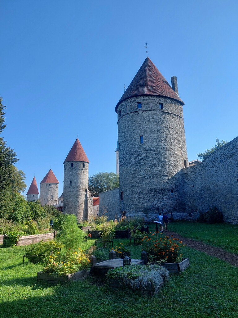 City wall, Tallinn by busylady