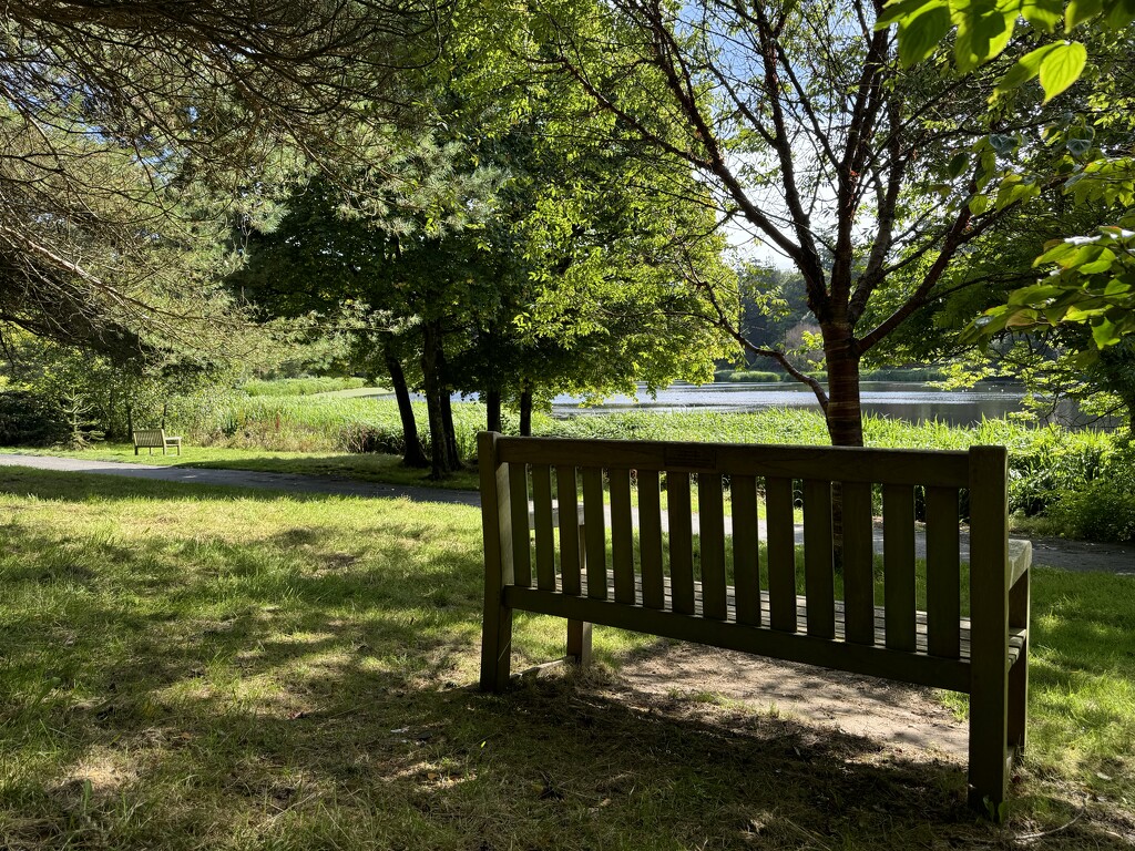 Bench overlooking a lake  by alison59